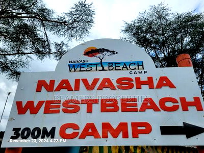 Naivasha 50by100ft Plot For Sale - Image 4