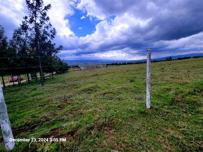 Naivasha 50by100ft Plot For Sale - Image 1