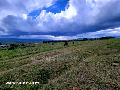 Naivasha 50by100ft Plot For Sale - Image 2