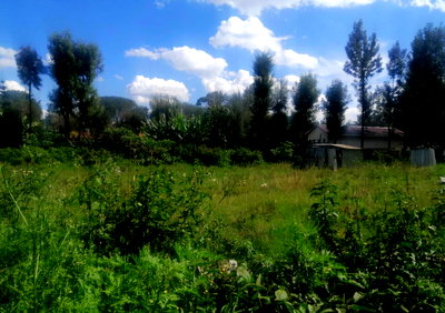 0.57 Acre Garden Plot with Parking - KSh 30M
