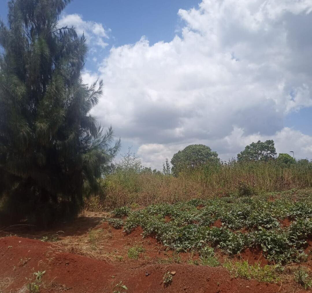 1/8 Acre Plot in Ruiru's Amani Ridge