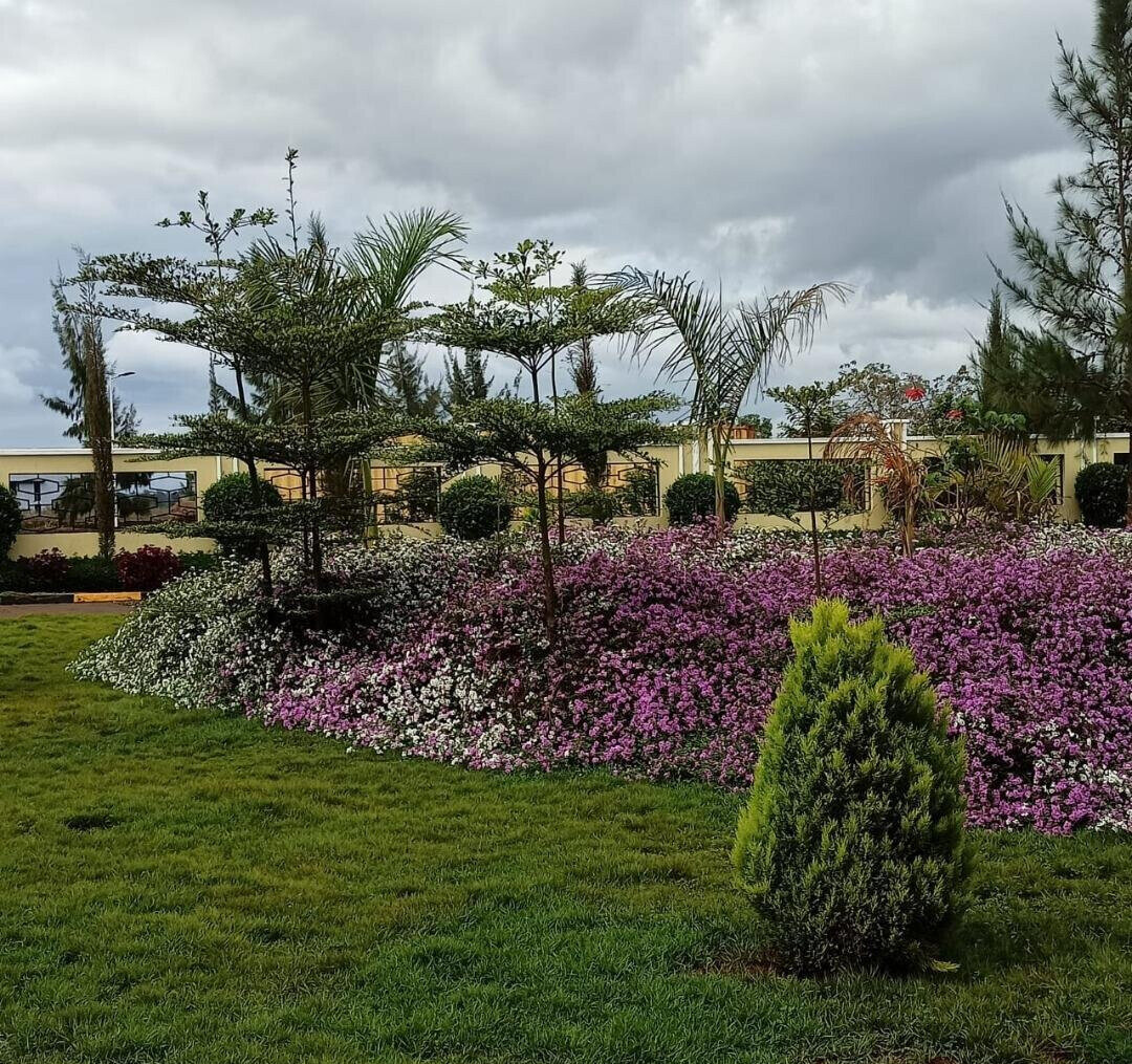 1/8 Acre Plot in Ruiru's Amani Ridge