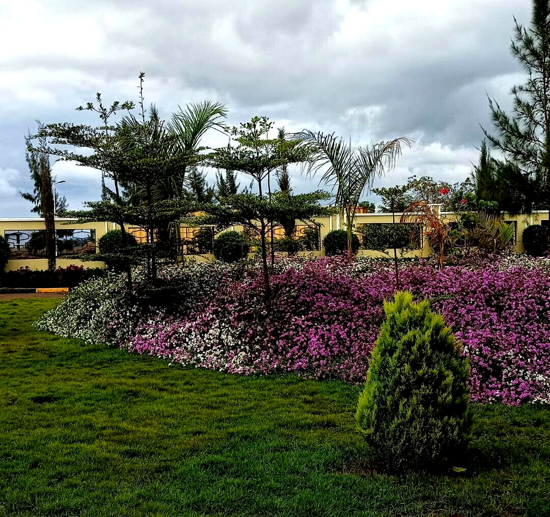 1/8 Acre Plot in Ruiru's Amani Ridge