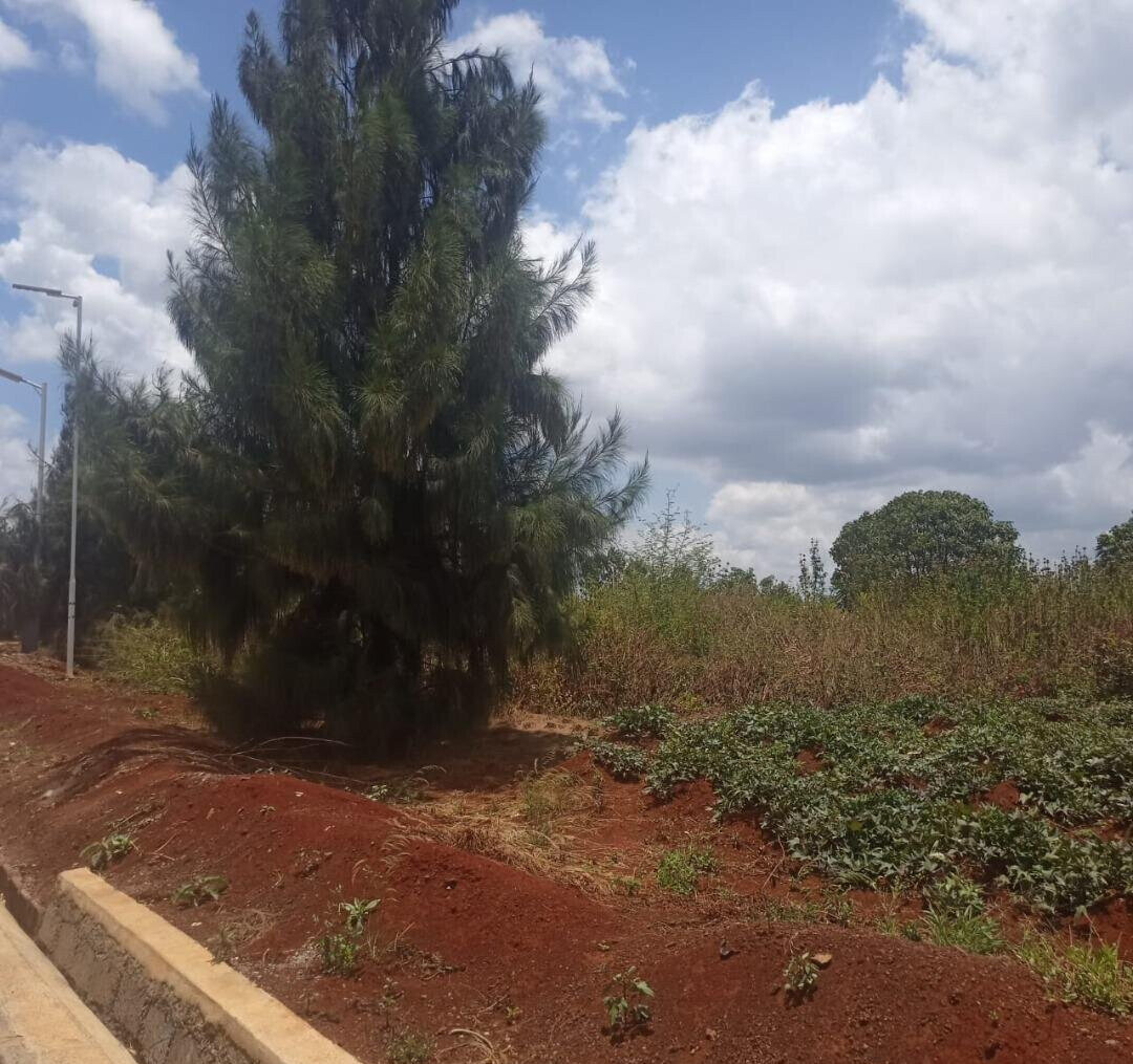 1/8 Acre Plot in Ruiru's Amani Ridge