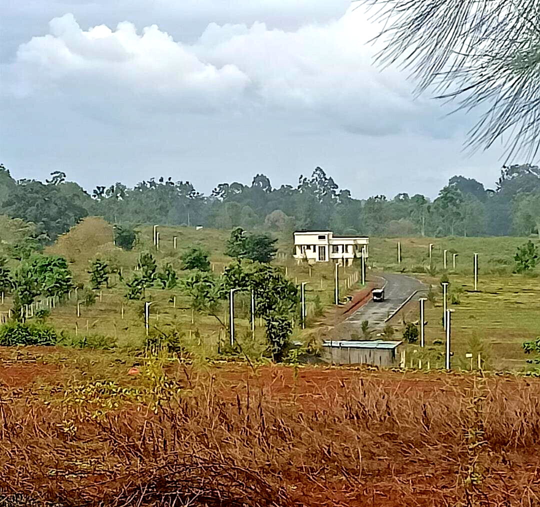 1/8 Acre Plot in Ruiru's Amani Ridge