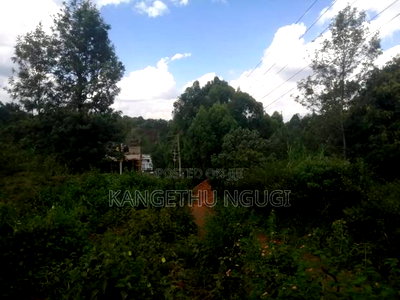 Three Eighth of an Acre (1.47ha) Plot Gathiga - Image 9