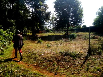 Three Eighth of an Acre (1.47ha) Plot Gathiga - Image 6