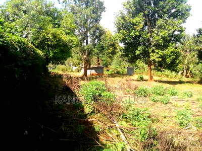 Three Eighth of an Acre (1.47ha) Plot Gathiga - Image 7