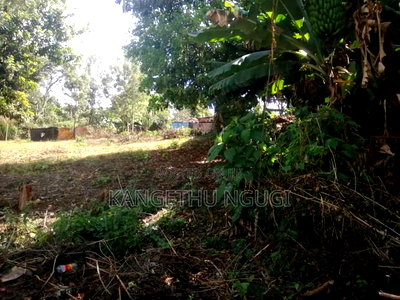 Three Eighth of an Acre (1.47ha) Plot Gathiga - Image 4