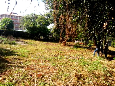 Three Eighth of an Acre (1.47ha) Plot Gathiga - Image 8