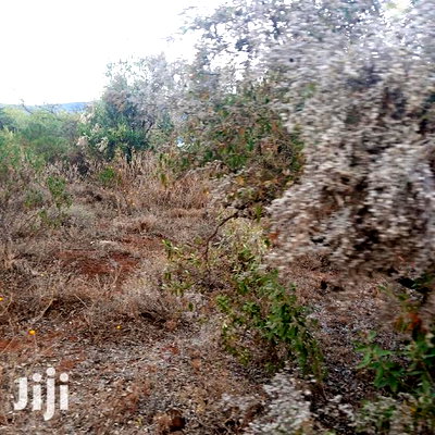 25 Acres Serashi Per Acre - Image 8
