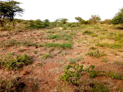 25 Acres Serashi Per Acre - Image 1