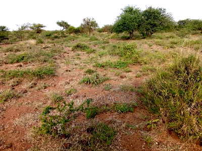 25 Acres Serashi Per Acre - Image 2
