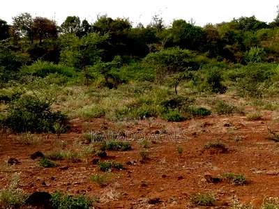 25 Acres Serashi Per Acre - Image 5
