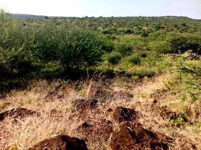 25 Acres Serashi Per Acre - Image 3