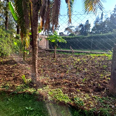 Prime 1/8 Ngong - Image 6