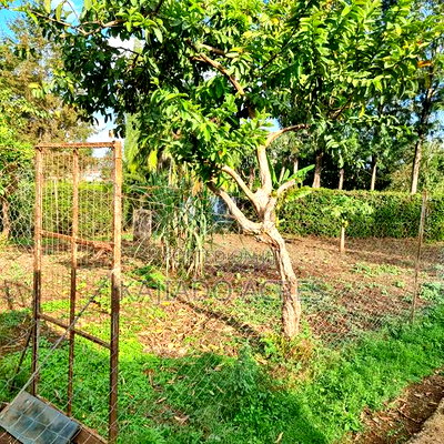 Prime 1/8 Ngong - Image 11