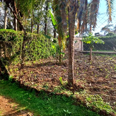 Prime 1/8 Ngong - Image 5