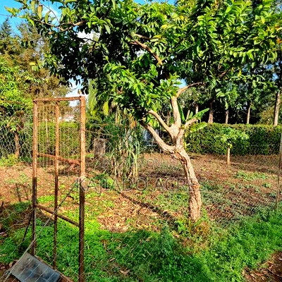 Prime 1/8 Ngong - Image 12