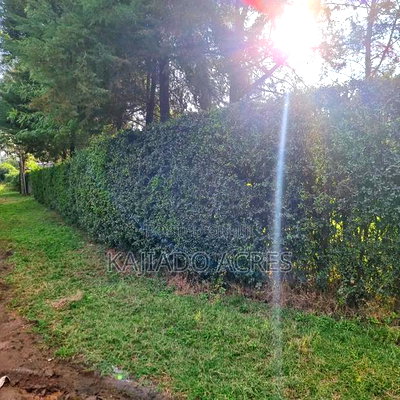 Prime 1/8 Ngong - Image 10