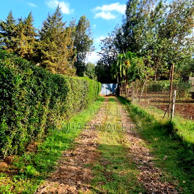 Prime 1/8 Ngong - Image 1