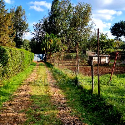 Prime 1/8 Ngong - Image 3