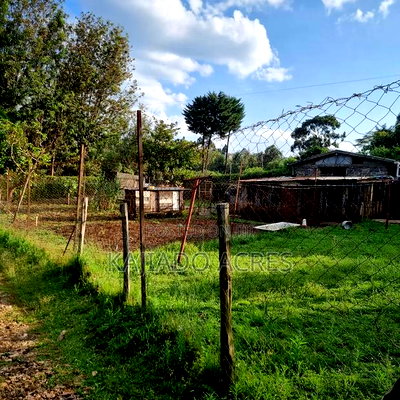 Prime 1/8 Ngong - Image 2