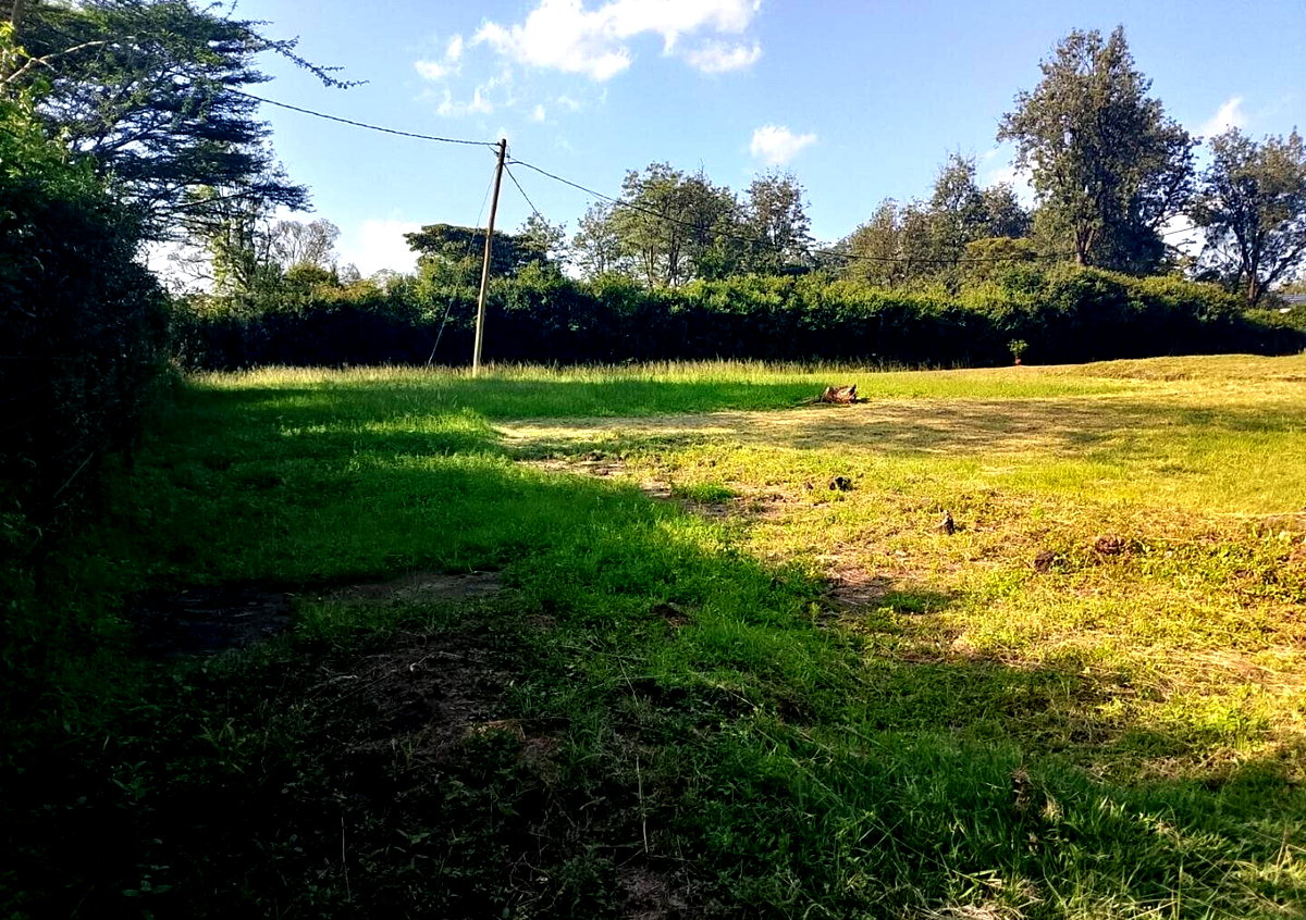 KSh 50M Half Acre Plot