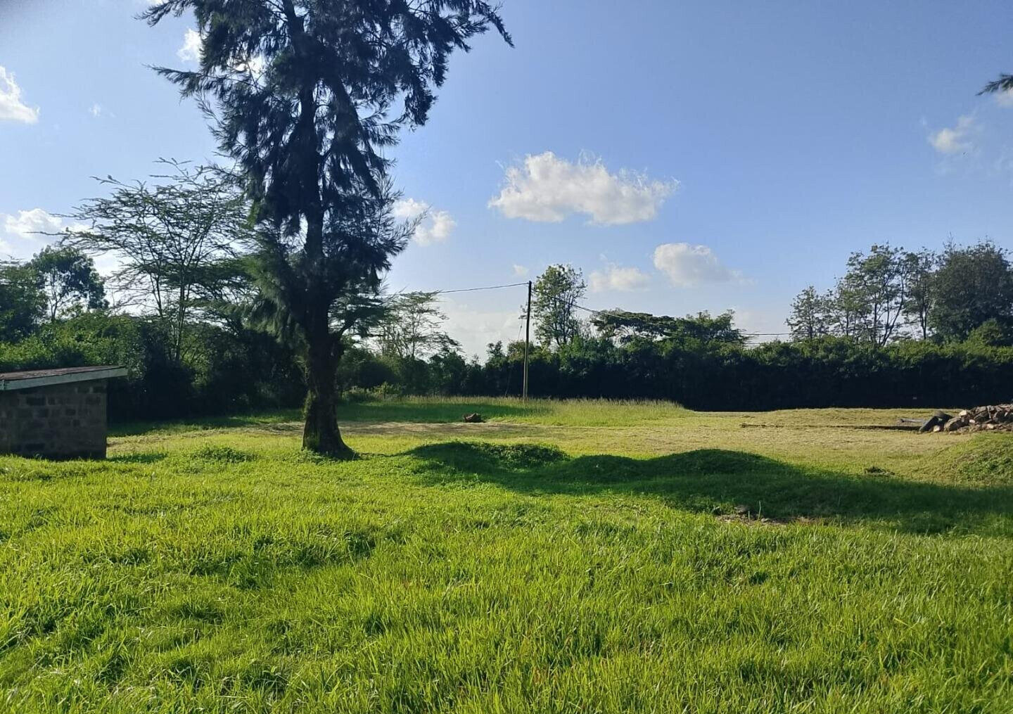 KSh 50M Half Acre Plot