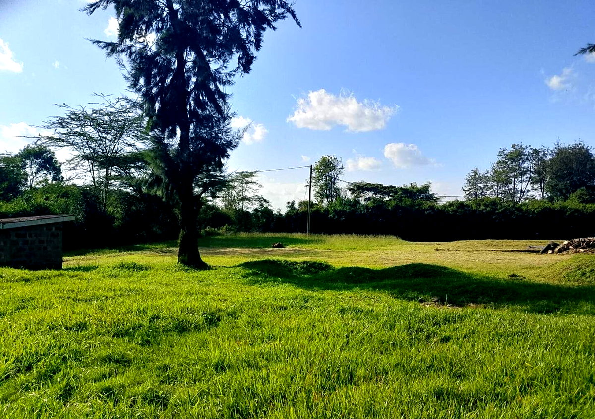 KSh 50M Half Acre Plot