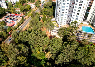 1.3-Acre Kileleshwa Gem for KSh 365M