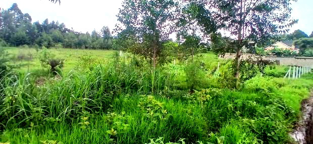 1/2 Acre Plot for Sale in Kikuyu,Ondiri
