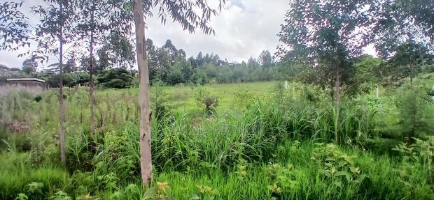 1/2 Acre Plot for Sale in Kikuyu,Ondiri