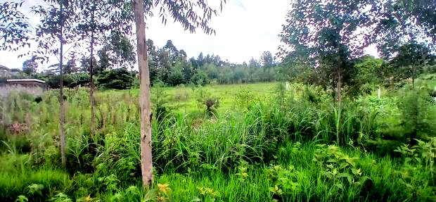 1/2 Acre Plot for Sale in Kikuyu,Ondiri