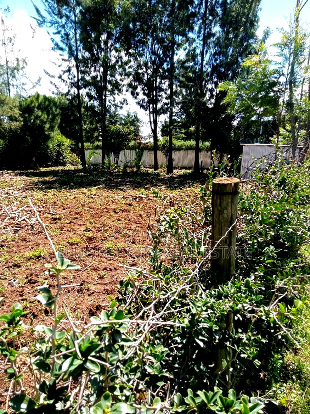 1/4 Plot Kapseret Inder With Title