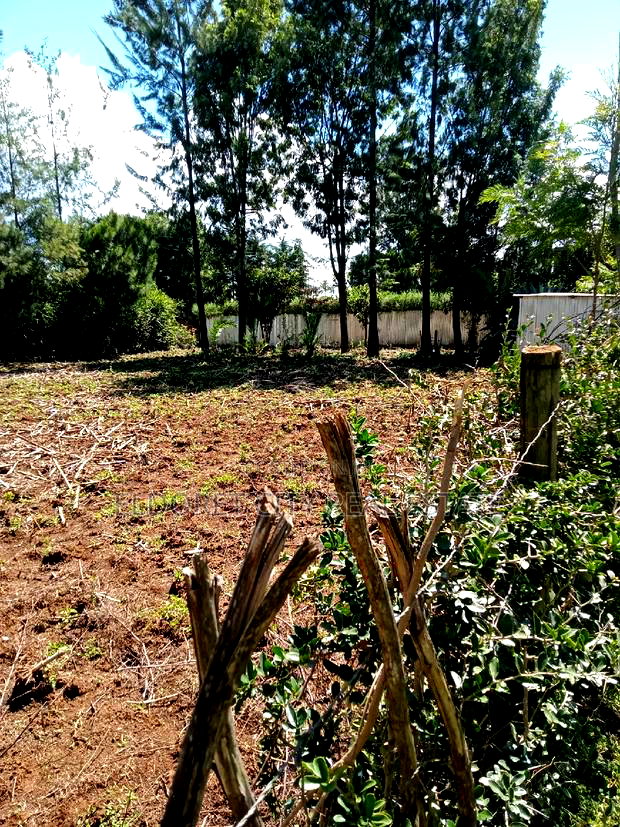 1/4 Plot Kapseret Inder With Title