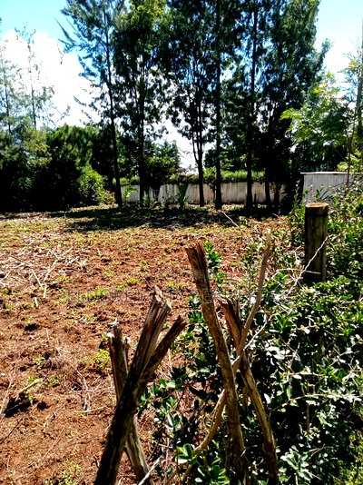 1/4 Plot Kapseret Inder With Title - Image 1