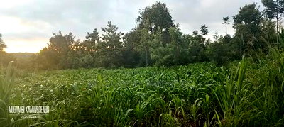 Ugweri 1acre - Image 1