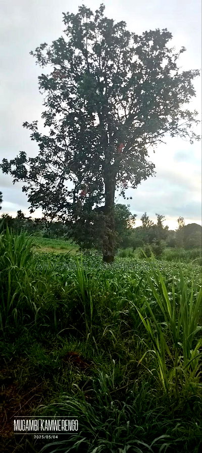 Ugweri 1acre - Image 2