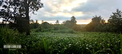 Ugweri 1acre - Image 3