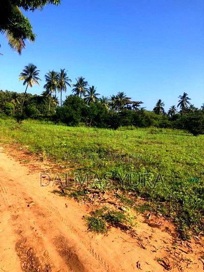 An Acre Land in Gede - Watamu - Image 2