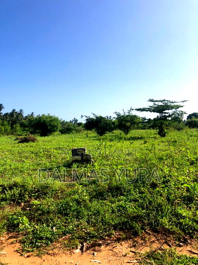 An Acre Land in Gede - Watamu - Image 1