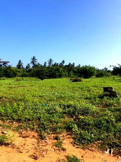 An Acre Land in Gede - Watamu - Image 3