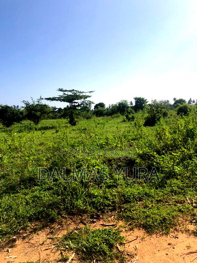 An Acre Land in Gede - Watamu - Image 4
