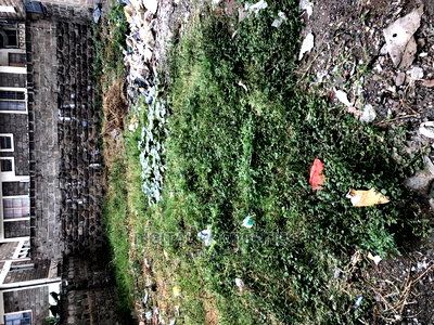 Plot for Sale in Tena Estate Near Naivas Supermarket at 10m - Image 3