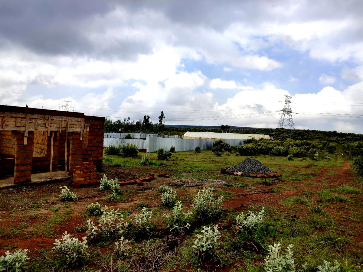 Prime Residential Plot in kimuka