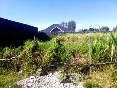 Plot 100 Metres From Tarmac at Thigio Lanet - Image 1