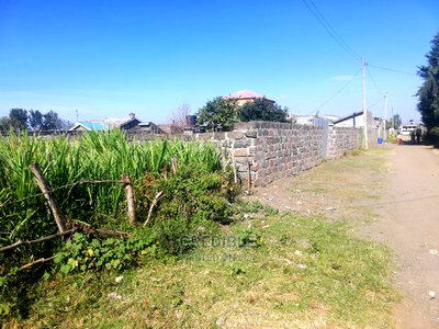 Plot 100 Metres From Tarmac at Thigio Lanet - Image 4