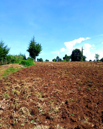 12-Acre Farm with River Frontage - Kieni