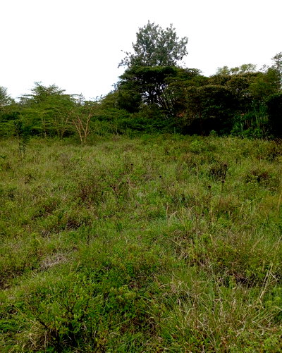 1/8 Acre Plots at KSh 6.5M